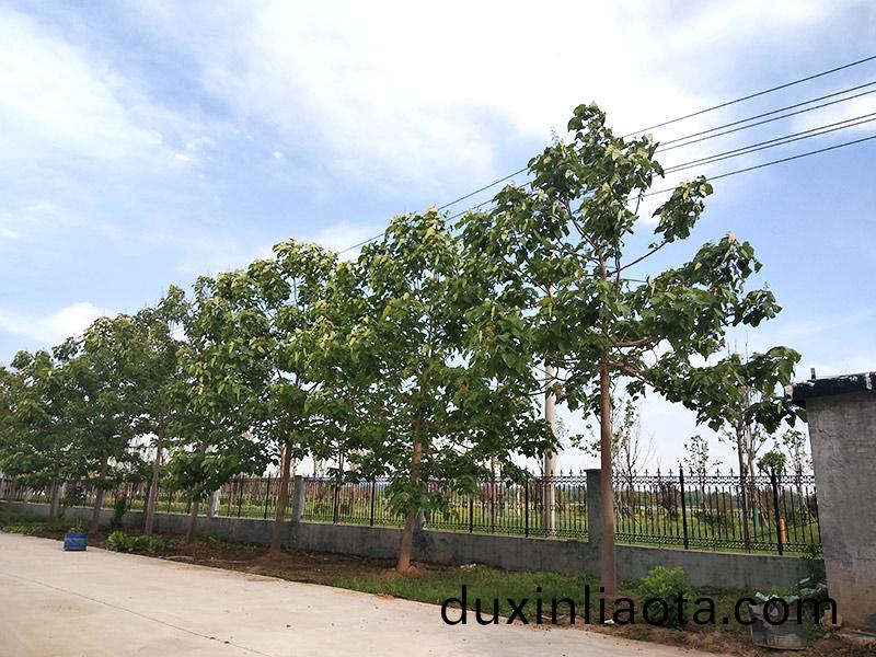 濟寧市大氣(qi)環(huan)境(jing)質(zhi)量(liang)2015年12月(yue)份13縣(xian)市(shi)區(qu)排名