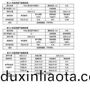 檢(jian)測(ce)報(bao)告(2024.12.31)