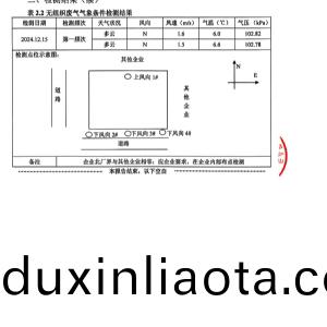 檢測(ce)報告(2024.12.31)